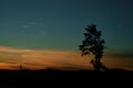 Sunrise/sunset with deep blue sky and orange clouds with a tree silhouette in the foreground. Royalty Free Stock Photo