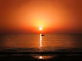 Sunrise sunset golden sun light sea horizon with motor boat silhouette shoreline Royalty Free Stock Photo