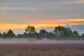 Sunrise Sunset in the LÃÂ¼neburg Heath