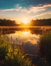 Sunrise or sunset pond on the field in country landscape Royalty Free Stock Photo