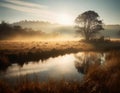 Sunrise or sunset pond on the misty field in countryside autumn landscape Royalty Free Stock Photo