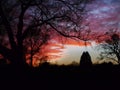 Sunrise or sunset in rural Oklahoma, tree silhouettes