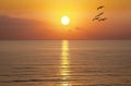 Sunrise Sunset Sun Sunny Ocean Royalty Free Stock Photo
