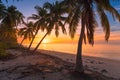 Sunrise or sunset at tropical beach with palm trees and quiet ocean in Maldives Royalty Free Stock Photo