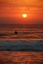 Sunrise Surfer, Sunshine Coast, Australia