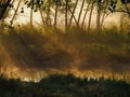 Mesa County Sunrise Swamp Fog