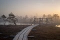 Sunrise at swamp with small pine trees covered in early morning. Royalty Free Stock Photo