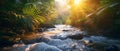 Sunrise Symphony in Costa Rica\'s Lush Forests. Concept Nature Photography, Sunrise, Costa Rica,