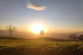Sunrise on the tea plantation at Dempo mountain Royalty Free Stock Photo