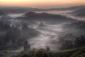 Sunrise at tea plantation Royalty Free Stock Photo