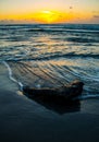 Sunrise Texas Beach Deep Vertical Nature Ocean recycling