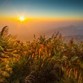 Sunrise at top of mountain, Phu Tabberk, Phetchabun Province Royalty Free Stock Photo