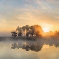 Sunrise at tranquil misty wetland, Flanders, Belgium