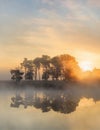 Sunrise at tranquil misty wetland, Flanders, Belgium