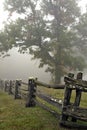 Sunrise Tree and Fence in fog Royalty Free Stock Photo