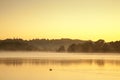 Sunrise with trees silhuet reflecting in the water Royalty Free Stock Photo