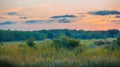 Sunrise and trees in the swamp Royalty Free Stock Photo