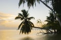 Sunrise on the tropical island Royalty Free Stock Photo