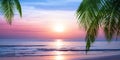 Sunrise tropical island sea beach, ocean sunset, morning dawn landscape, palm tree, blue water, soft pink sky, summer holidays Royalty Free Stock Photo