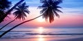 Sunrise tropical island sea beach, ocean sunset, morning dawn landscape, palm tree, blue water, soft pink sky, summer holidays Royalty Free Stock Photo