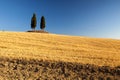 Sunrise in tuscan countryside, Italy Royalty Free Stock Photo