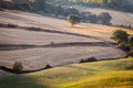 Sunrise in tuscan countryside, Tuscany, Italy Royalty Free Stock Photo