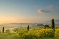 Sunrise in Tuscan hills