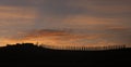Sunrise Tuscany landscape Royalty Free Stock Photo