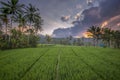 Sunrise at Ubud Bali indonesia.