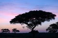 Sunrise, Uganda