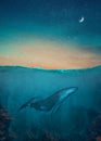 sunrise underwater, whale, photo manipulation digital art