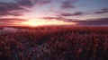 Sunrise In Unreal Engine: Lively Coastal Landscapes With Dreamlike Naturaleza