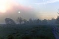 Sunrise among valley with footpath and trees silhouettes covered