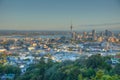 Sunrise view of Auckland from Mount Eden, New Zealand Royalty Free Stock Photo