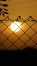 Sunrise view in early morning through fence Royalty Free Stock Photo