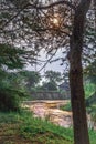 Sunrise view of Ishasha river, with acacia thorn tree Acacia sensu lato growing and the reflections on the water, Uganda