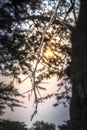 Sunrise view of Ishasha river, with acacia thorn tree Acacia sensu lato growing and the reflections on the water, Uganda Royalty Free Stock Photo