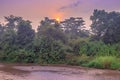 Sunrise view of Ishasha river, with trees growing and the reflections on the water, Queen Elizabeth National Park, Ishasha