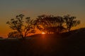 Sunrise view of Mount Eden in Auckland, New Zealand Royalty Free Stock Photo