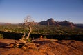 Sunrise view over Sedona, Arizona as seen from Airport Mesa Royalty Free Stock Photo