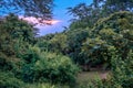 Sunrise view of a path to a wooden hut amongst green trees, Queen Elizabeth National Park, Ishasha, Uganda Royalty Free Stock Photo