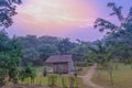 Sunrise view of a path to a wooden hut amongst green trees, Queen Elizabeth National Park, Ishasha, Uganda Royalty Free Stock Photo