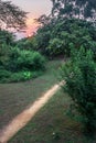 Sunrise view of a path to a wooden hut amongst green trees, Queen Elizabeth National Park, Ishasha, Uganda Royalty Free Stock Photo