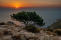 Sunrise view with a red sun and sea, rocky beach, and tree near ,La Victoria, Mallorca Royalty Free Stock Photo