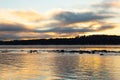 Sunrise view of the St. Lawrence River at low tide with mist over the seaway Royalty Free Stock Photo