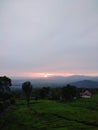 Sunrise view from Tea plantation above Dempo Mountain Royalty Free Stock Photo