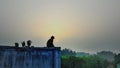 Sunrise photo with monkey over a water tank.