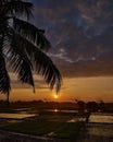 Sunrise at village fields in dwon time Royalty Free Stock Photo