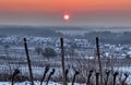 Sunrise in the vineyards