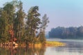 Northern island on a lake with birch and pine trees in a sunrise light